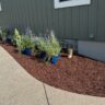 Green Siding With Curved Concrete Walk And Mulch Bed by JL Home Builders, Pittsburgh