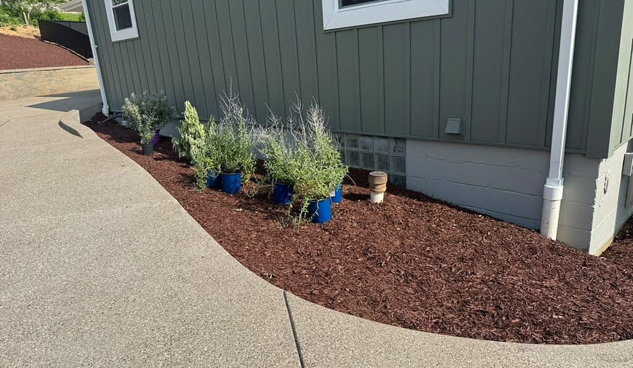 Green Siding With Curved Concrete Walk And Mulch Bed by JL Home Builders, Pittsburgh
