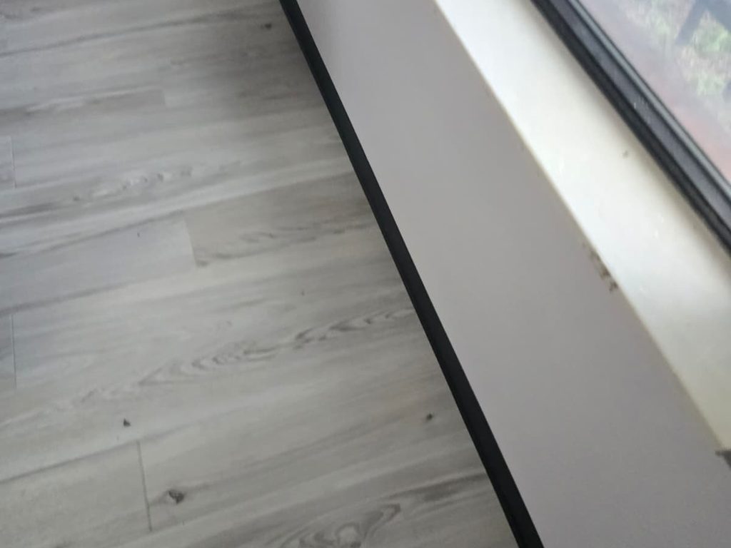 Vinyl plank flooring with cove base along a basement window wall, JL Home Builders, Pittsburgh